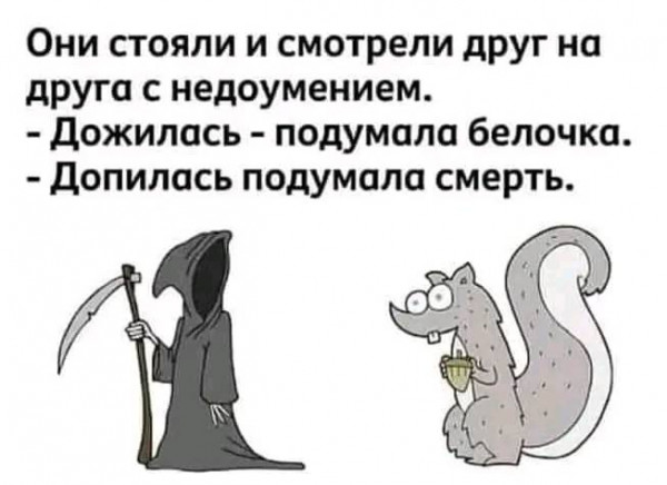 недоумение