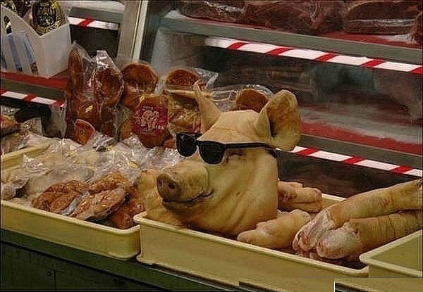 очки