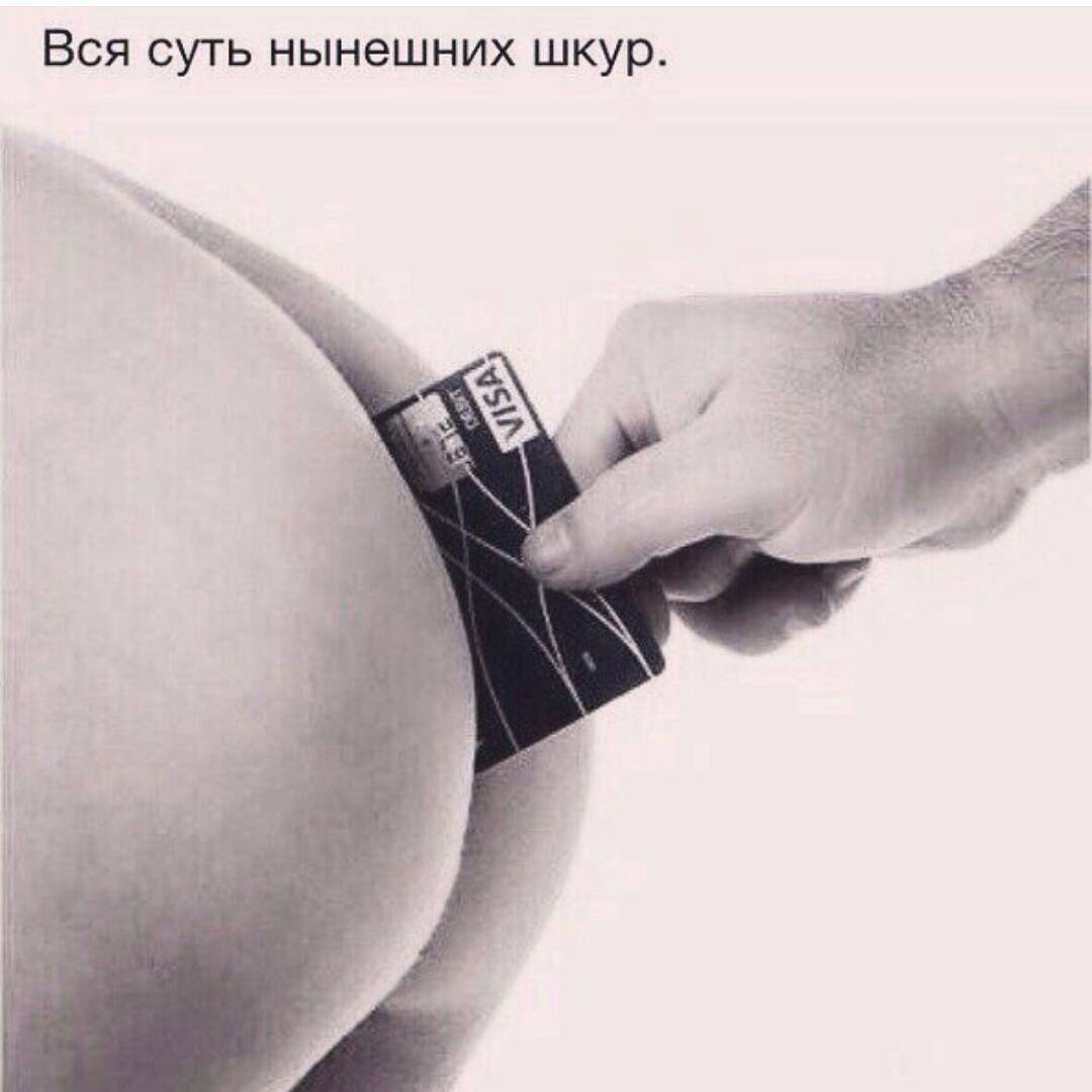 шкуры